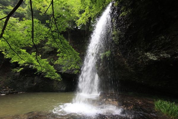 Wasser,Wasserfall,Strom,hoch,Kanon,Dschungel