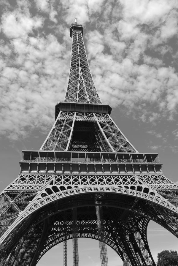 black and white,white,city,skyscraper,eiffel tower,paris