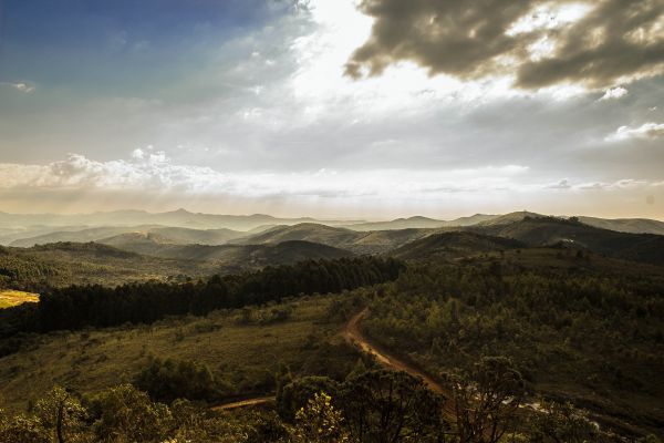 peisaj,natură,orizont,pustie,Munte,pădure