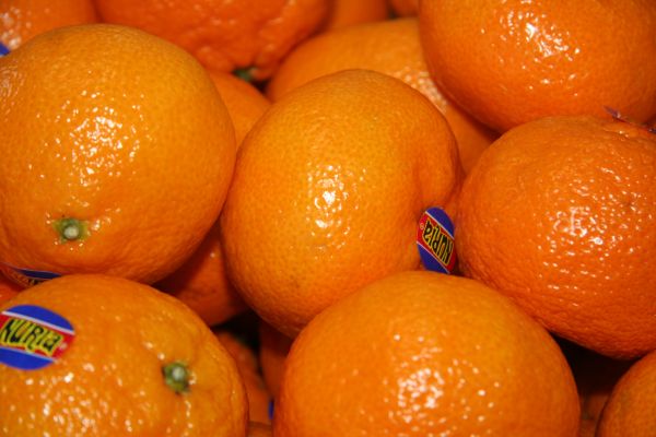 Pflanze,Frucht,Orange,Lebensmittel,produzieren,gesund