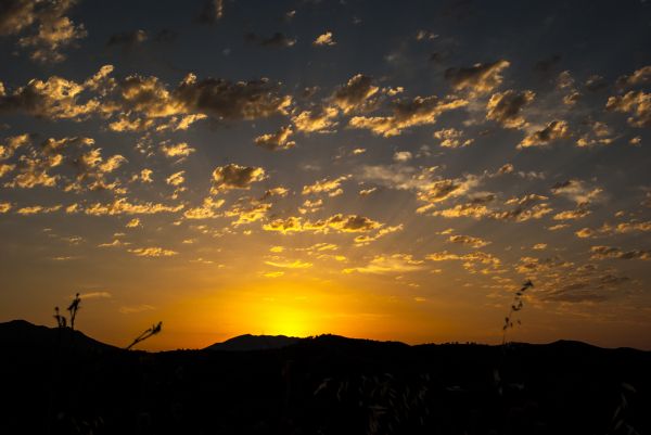 Landschaft,Natur,Horizont,Silhouette,Licht,Wolke