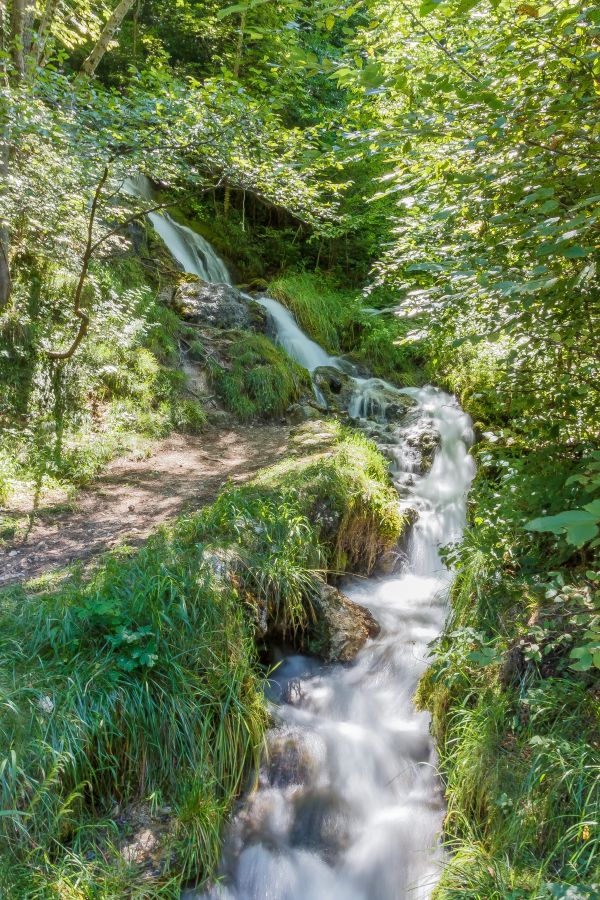 peisaj, copac, apă, natură, pădure, stâncă