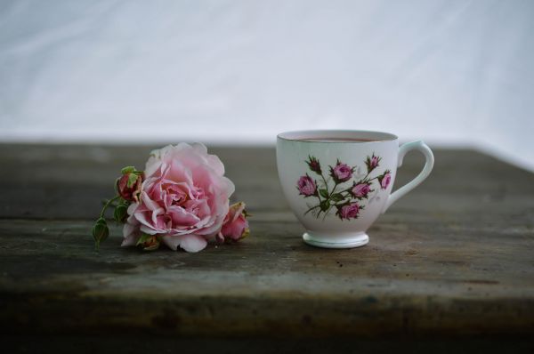 table, coffee, plant, tea, flower, petal