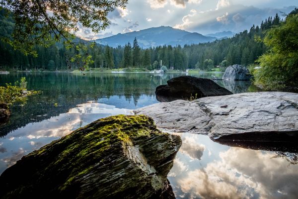 landscape,tree,water,nature,forest,rock