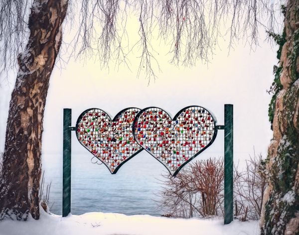 hjärta,kärlek,romantik,romantisk,valentine,alla hjärtans dag