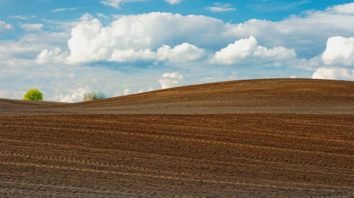 landskap, natur, sand, horisont, moln, himmel, fält, odla, prärie, molnig, kulle, landa, lantlig, jordbruk, brun, jord, lantbruk, enkel, jordbruksmark, jordbruks, moln, gräsmark, badlands, platå, livsmiljö, ekosystem, stäpp, landform, gård, naturlig miljö, geografiska särdrag, gräs familj