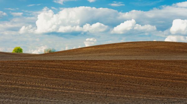 landskap,natur,sand,horisont,moln,himmel