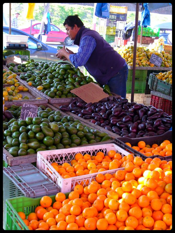 plante,aliments,fruit,ville,vert,vendeur