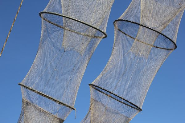 blue,fish,wing,line,tower,mast