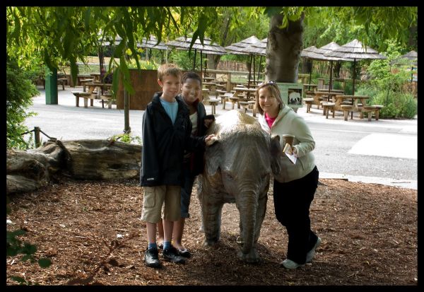 people,farm,zoo,mammal,chester,animals