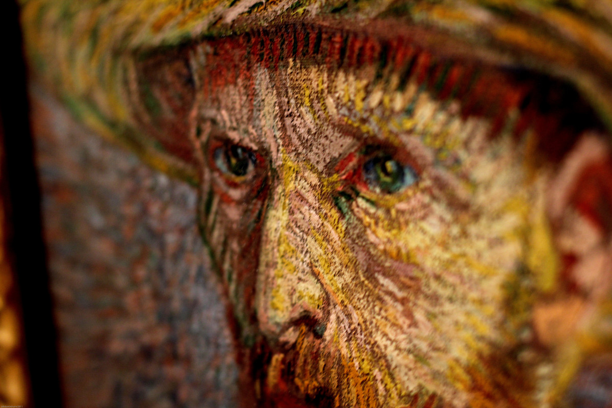 vogel, fotografie, busje, wildlife, bek, kleur, artistiek, artiest, verf, fauna, schilderij, energie, detailopname, ogen, schilder, tempel, geschilderd, staren, macrofotografie, blauwe ogen, van Gogh, gogh