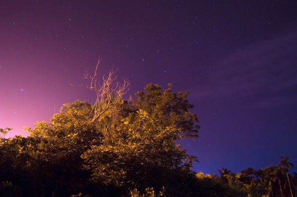 céu, noite, Estrela, alvorecer, atmosfera, crepúsculo