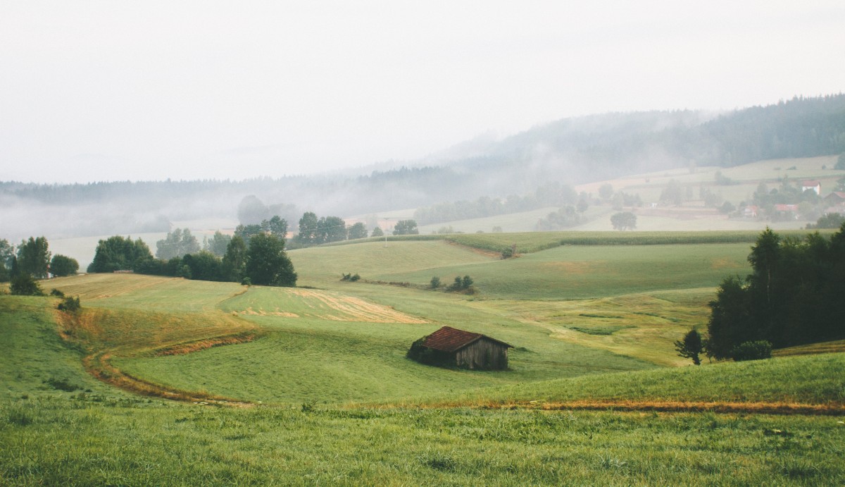 Landschaft, Baum, Gras, Feld, Bauernhof, Wiese, Prärie, Morgen, Hügel, Ernte, Weide, Boden, Landwirtschaft, Ebene, Ackerland, Aus dem gitter, Wiese, Plateau, Steppe, ländliches Gebiet, Reisfeld, Atmosphärisches Phänomen, Grasfamilie