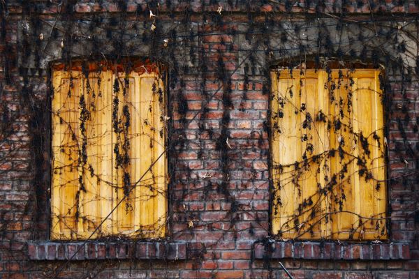 vid,madera,textura,ventana,pared,color