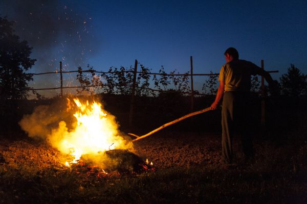 man,persoon,nacht,zonlicht,vallen,mannetje