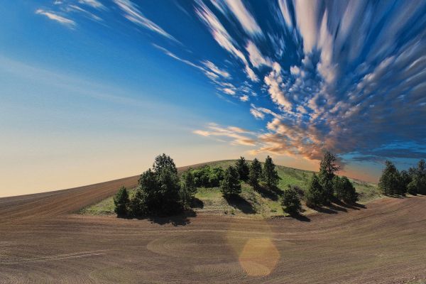 landschap,boom,natuur,gras,horizon,berg-