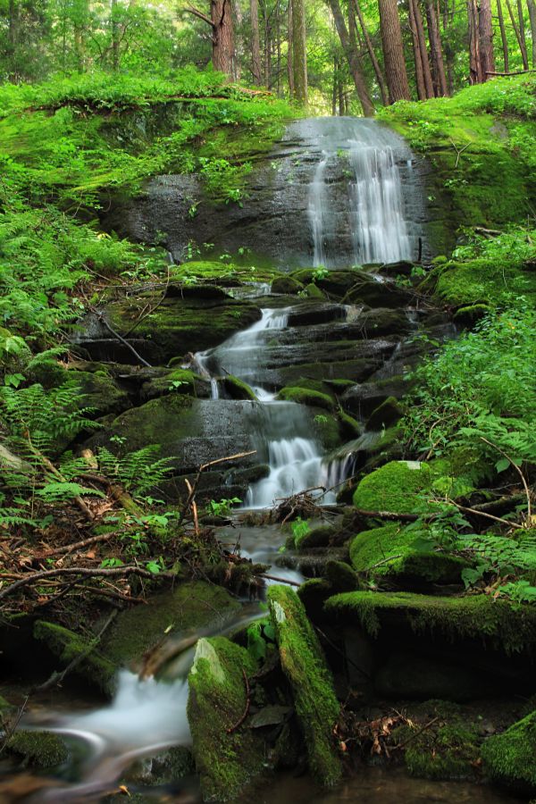 paysage, arbre, eau, la nature, forêt, Roche