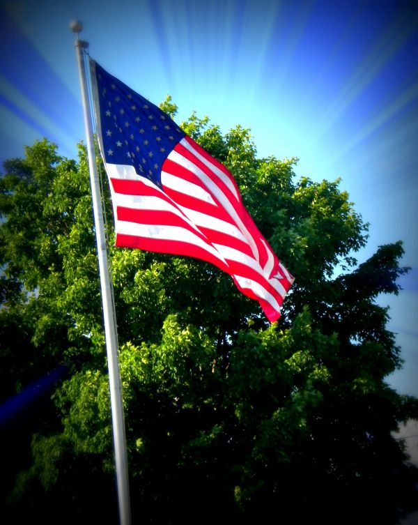 sky, flower, symbol, flag, color, banner