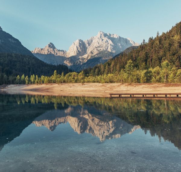 пейзаж,вода,природа,дърво,гора,на открито