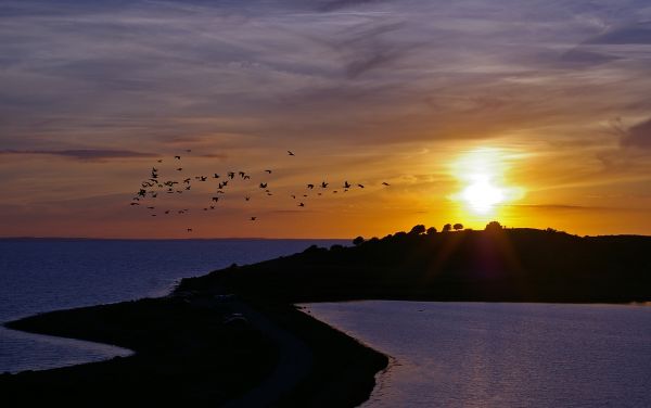 Strand, landskap, hav, kyst, vann, natur