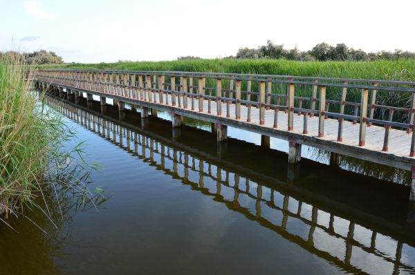 acqua,ponte,fiume,canale,passerella,riflessione