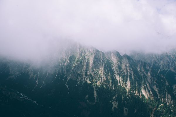 natur, skog, fjell, Sky, tåke, tåke