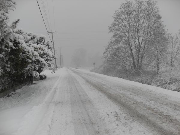 neige, du froid, hiver, noir et blanc, route, paysage