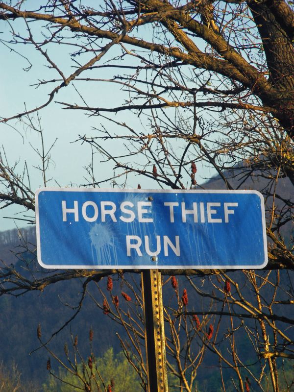 tree,winter,sign,roadsign,driving,street sign