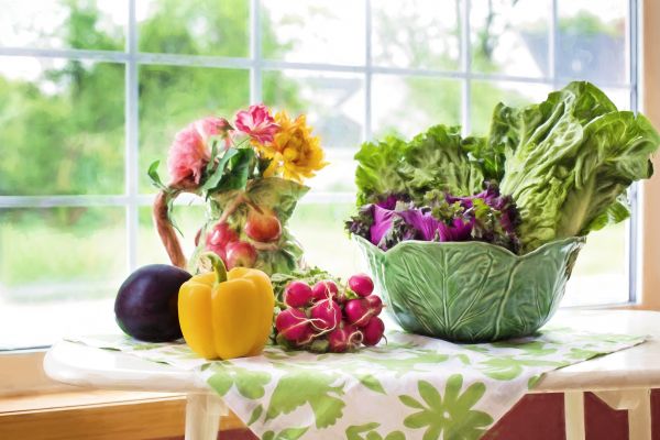 plantar,flor,verão,Comida,salada,verde