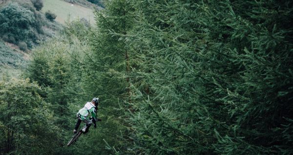 césped,deporte,bicicleta,árbol,bosque,planta