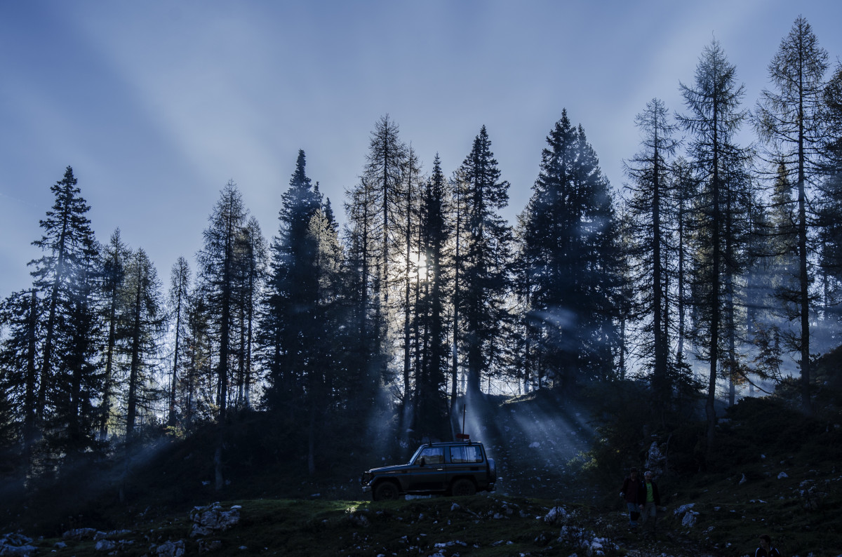 tree, nature, forest, wilderness, mountain, snow, winter, plant, car, sunlight, jeep, mountain range, pine, weather, fir, season, ridge, spruce, woodland, habitat, ecosystem, natural environment, geographical feature, atmospheric phenomenon, woody plant, mountainous landforms, temperate coniferous forest