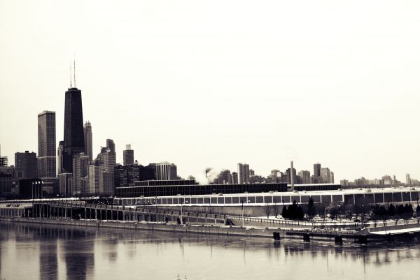 skyline,building,skyscraper,bridge,photography,city