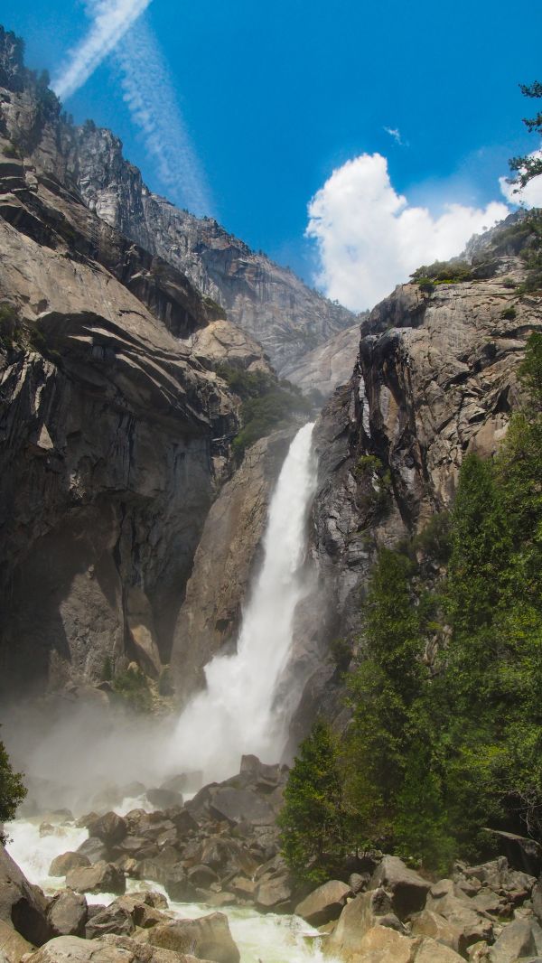 árvore, agua, natureza, floresta, cascata, região selvagem