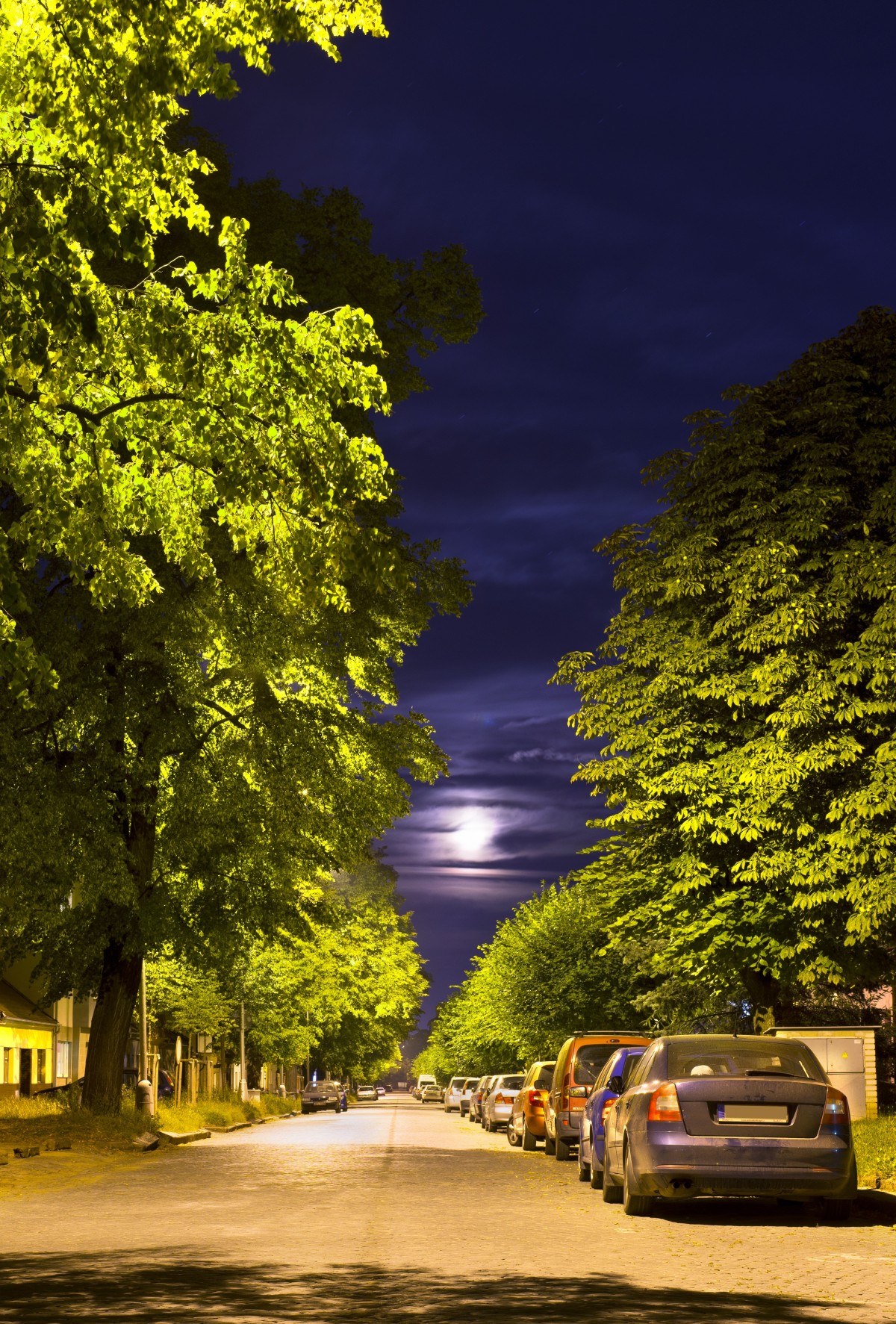 paesaggio, albero, natura, nube, pianta, cielo, tramonto, notte, luce del sole, mattina, foglia, fiore, crepuscolo, sera, riflessione, autunno, stagione, Luna piena, alberi, pavimentazione, notte d'estate, strada di notte, pianta legnosa, sfondo del computer