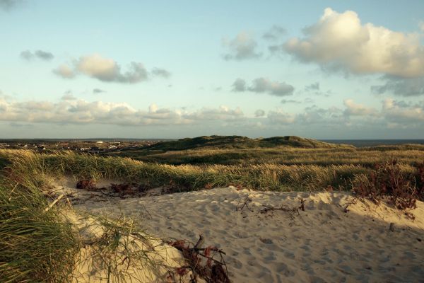 landschap, zee, kust, gras, zand, rots