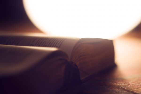 mano, libro, ligero, blanco, fotografía, luz de sol