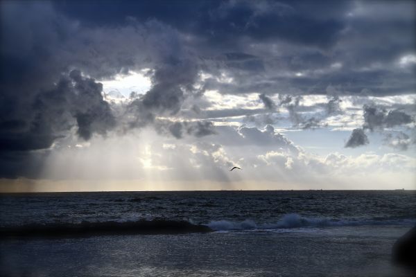 de praia, mar, costa, oceano, horizonte, nuvem