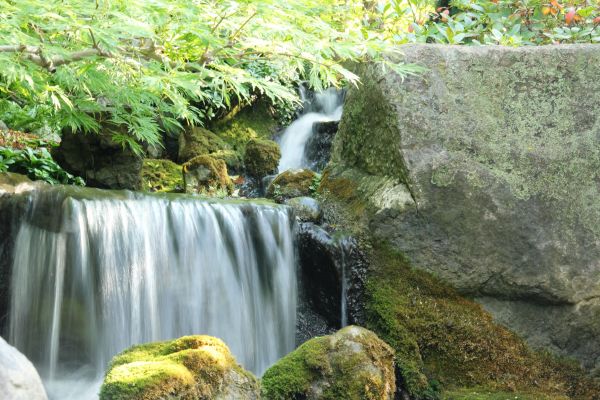 krajina, voda, príroda, vonkajšie, rock, strom