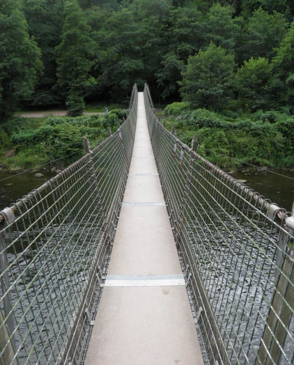 Wasser,Natur,Pfad,Seil,Brücke,Kreuzung