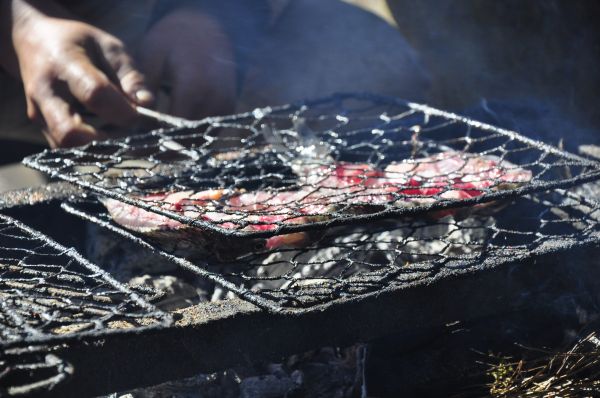 ruokalaji,ruoka,ruoanlaitto,liha,keittiö,grilli