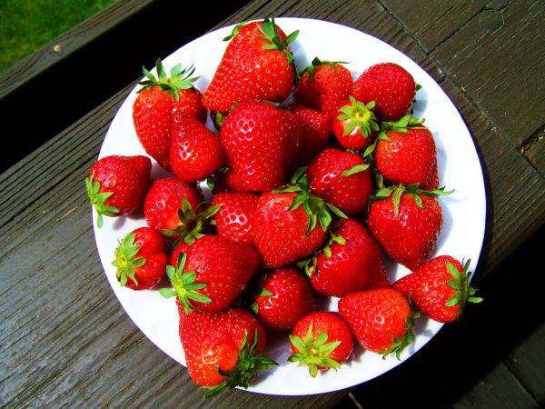 plante,fruit,aliments,produire,fraise,des fraises