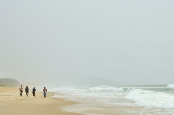 spiaggia, mare, costa, sabbia, oceano, nebbia