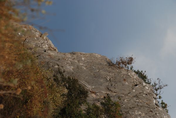 τοπίο,ακτή,δέντρο,φύση,θάλασσα,νερό