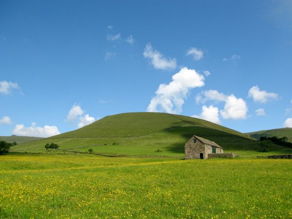 krajina,tráva,horizont,hora,mrak,nebe