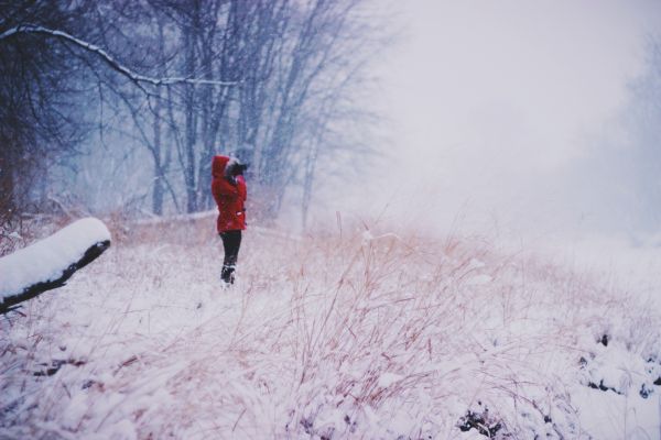 雪,コールド,冬,自然,女性,天気