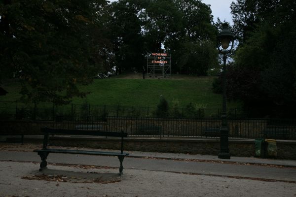 Baum, Natur, Bank, Nacht-, Morgen, Versammlung