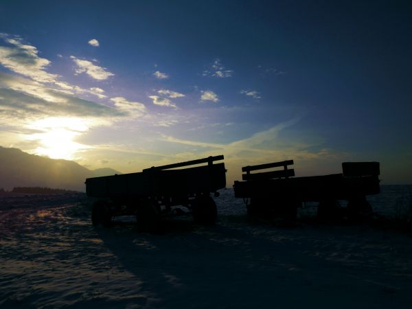 海,地平線,雪,光,雲,空