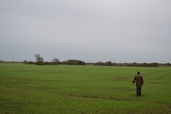 Landschaft, Gras, Horizont, Feld, Bauernhof, Himmel