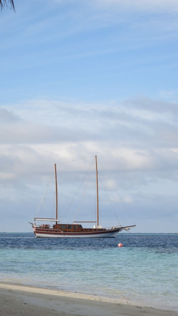 пляж, море, берег, воды, океан, природа