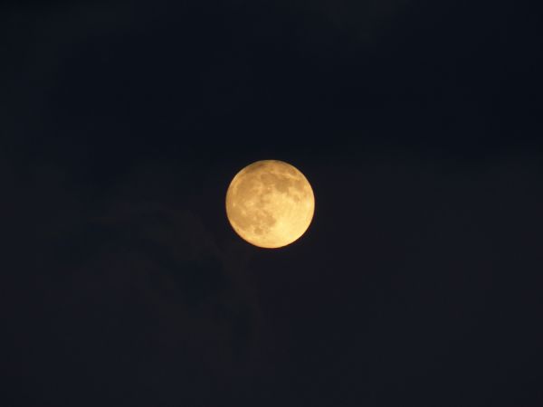 cielo,noche,atmósfera,místico,Luna,Luna llena